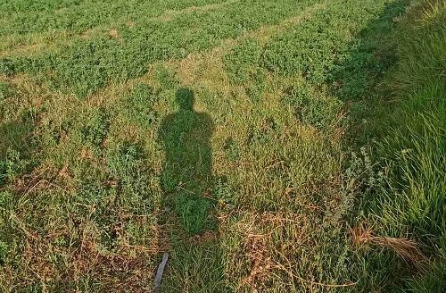 Terreno en venta Cerro Colorado