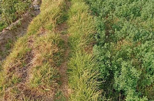 Terreno en venta Cerro Colorado