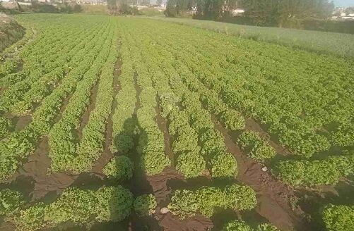 Terreno en venta – Hunter