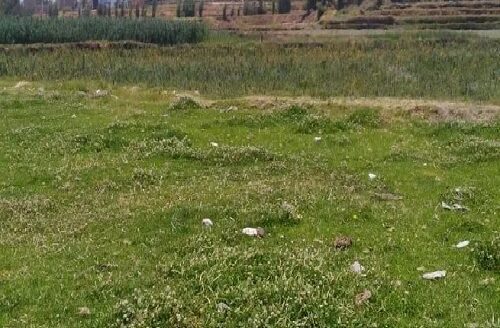 Terreno en venta – Hunter