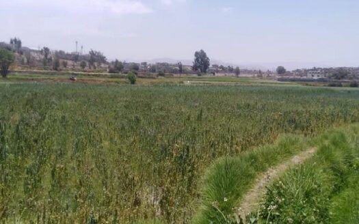 Terreno en venta – Hunter