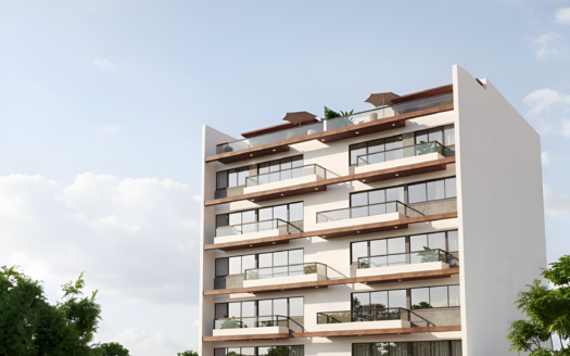 Cayma exclusivo – dptos PreVenta